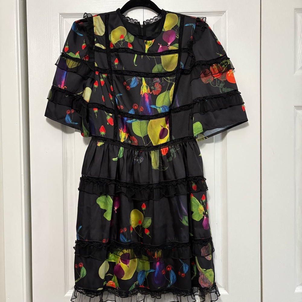 Whimsical NWT Novelty Print Dress Lace Tiered Tulle Holiday Party Women's 8